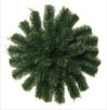 AFM-2